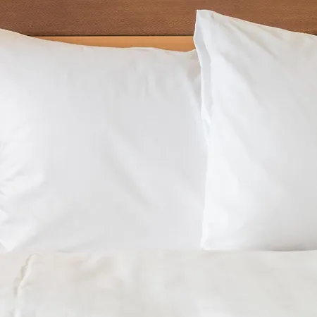 Avid Hotel Fort Worth Downtown By Ihg