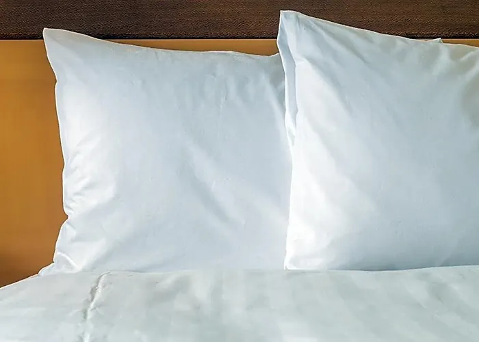 Hotel Avid Worth Downtown By Ihg 2*